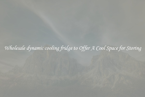 Wholesale dynamic cooling fridge to Offer A Cool Space for Storing