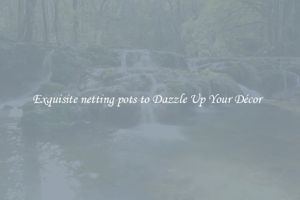 Exquisite netting pots to Dazzle Up Your Décor  