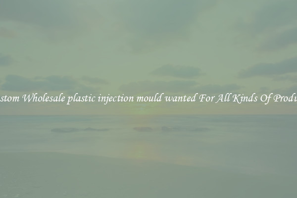 Custom Wholesale plastic injection mould wanted For All Kinds Of Products