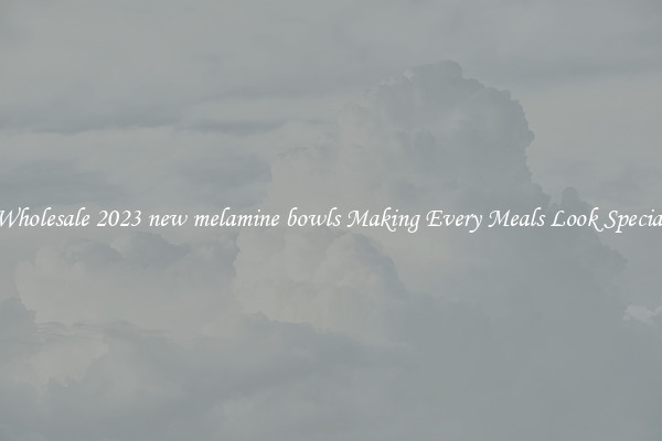 Wholesale 2023 new melamine bowls Making Every Meals Look Special