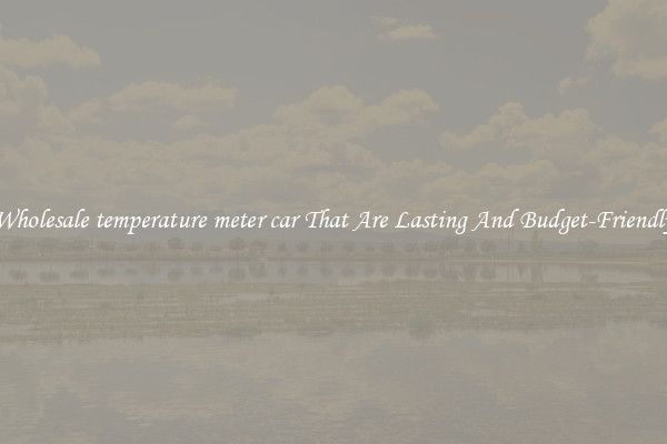 Wholesale temperature meter car That Are Lasting And Budget-Friendly