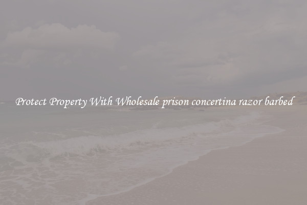 Protect Property With Wholesale prison concertina razor barbed