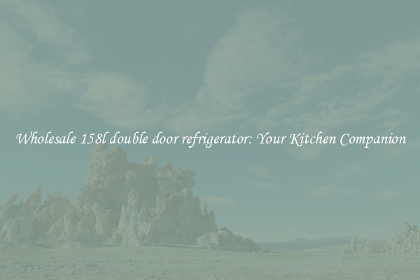 Wholesale 158l double door refrigerator: Your Kitchen Companion