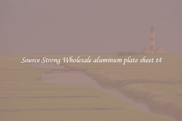 Source Strong Wholesale aluminum plate sheet t4