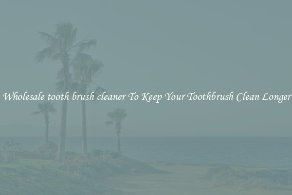 Wholesale tooth brush cleaner To Keep Your Toothbrush Clean Longer