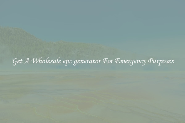 Get A Wholesale epc generator For Emergency Purposes