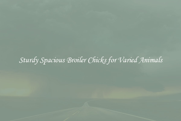 Sturdy Spacious Broiler Chicks for Varied Animals