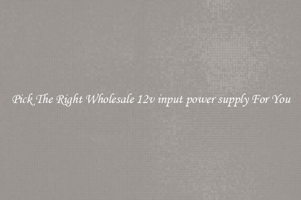 Pick The Right Wholesale 12v input power supply For You
