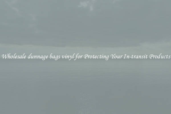 Wholesale dunnage bags vinyl for Protecting Your In-transit Products