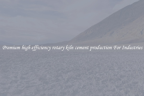 Premium high efficiency rotary kiln cement production For Industries