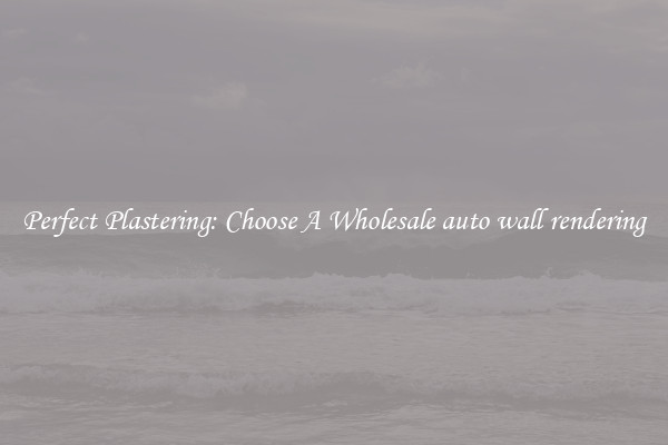  Perfect Plastering: Choose A Wholesale auto wall rendering 