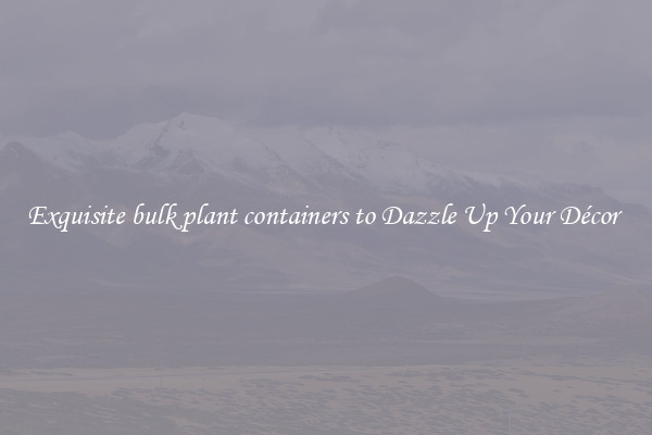 Exquisite bulk plant containers to Dazzle Up Your Décor 