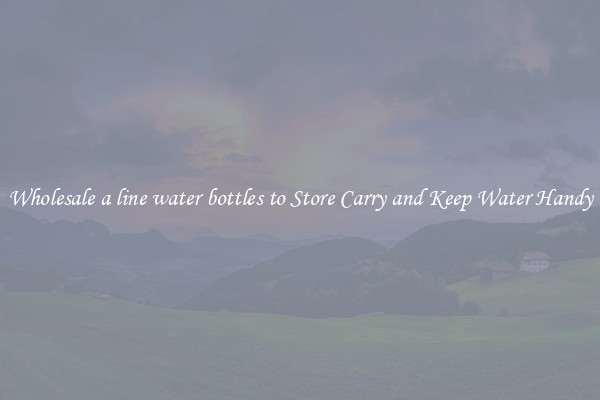Wholesale a line water bottles to Store Carry and Keep Water Handy