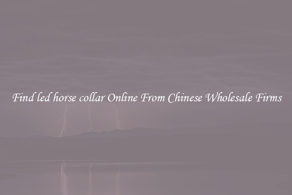 Find led horse collar Online From Chinese Wholesale Firms